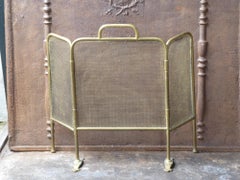 19th Century English Victorian Fireplace Screen or Fire Screen