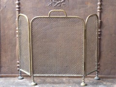 19th Century English Victorian Fireplace Screen or Fire Screen