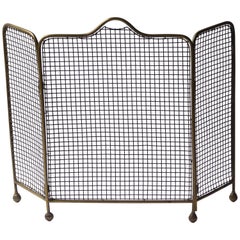19th Century English Victorian Fireplace Screen or Fire Screen