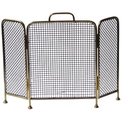 19th Century English Victorian Fireplace Screen or Fire Screen