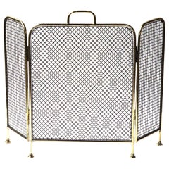 Antique 19th Century English Victorian Fireplace Screen or Fire Screen