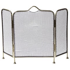19th Century English Victorian Fireplace Screen or Fire Screen