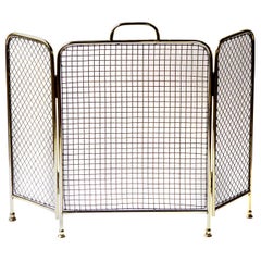 19th Century English Victorian Fireplace Screen or Fire Screen