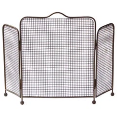 19th Century English Victorian Fireplace Screen or Fire Screen