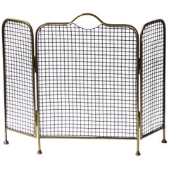 19th Century English Victorian Fireplace Screen or Fire Screen