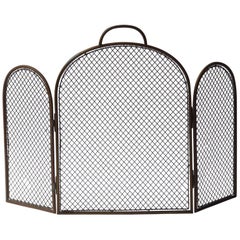 19th Century English Victorian Fireplace Screen or Fire Screen