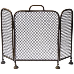 19th Century English Victorian Fireplace Screen or Fire Screen