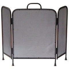 19th Century English Victorian Fireplace Screen or Fire Screen