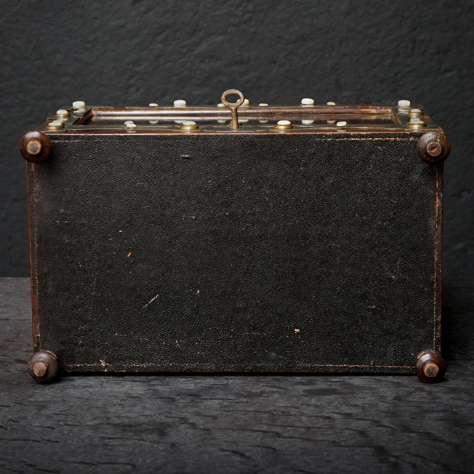 19th Century English Victorian Mahogany Veneer Cigar Box Humidor 9