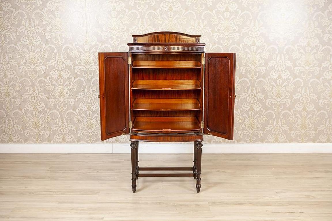 European 19th-Century English Walnut Cabinet in Rich Brown