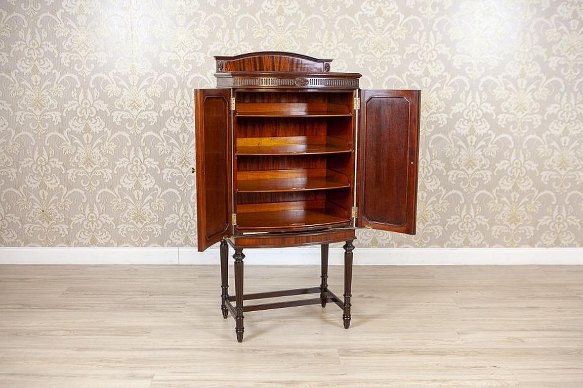 19th-Century English Walnut Cabinet in Rich Brown In Good Condition In Opole, PL