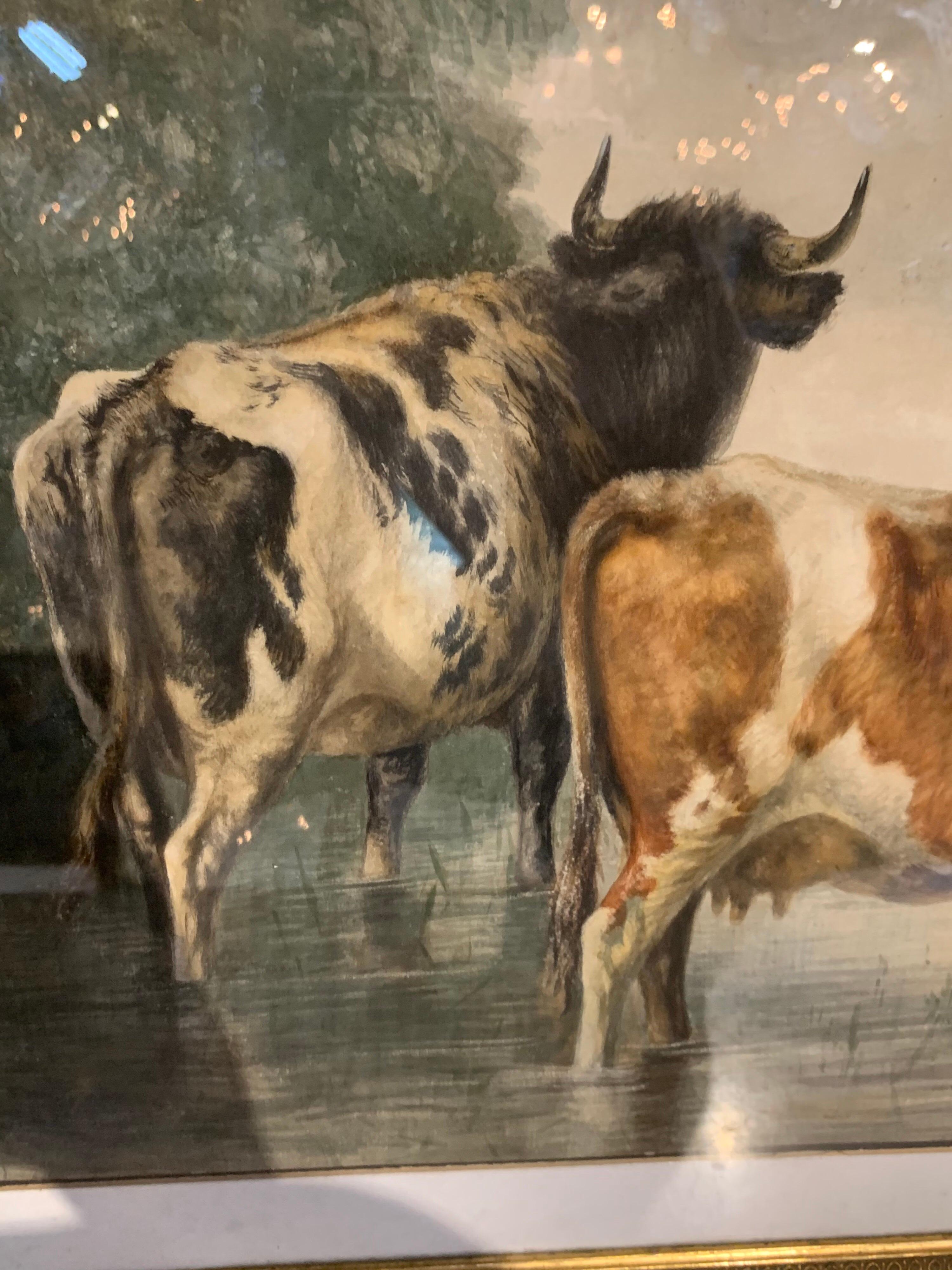 Anglais Aquarelle anglaise du 19ème siècle représentant des vaches par Thomas S. Cooper