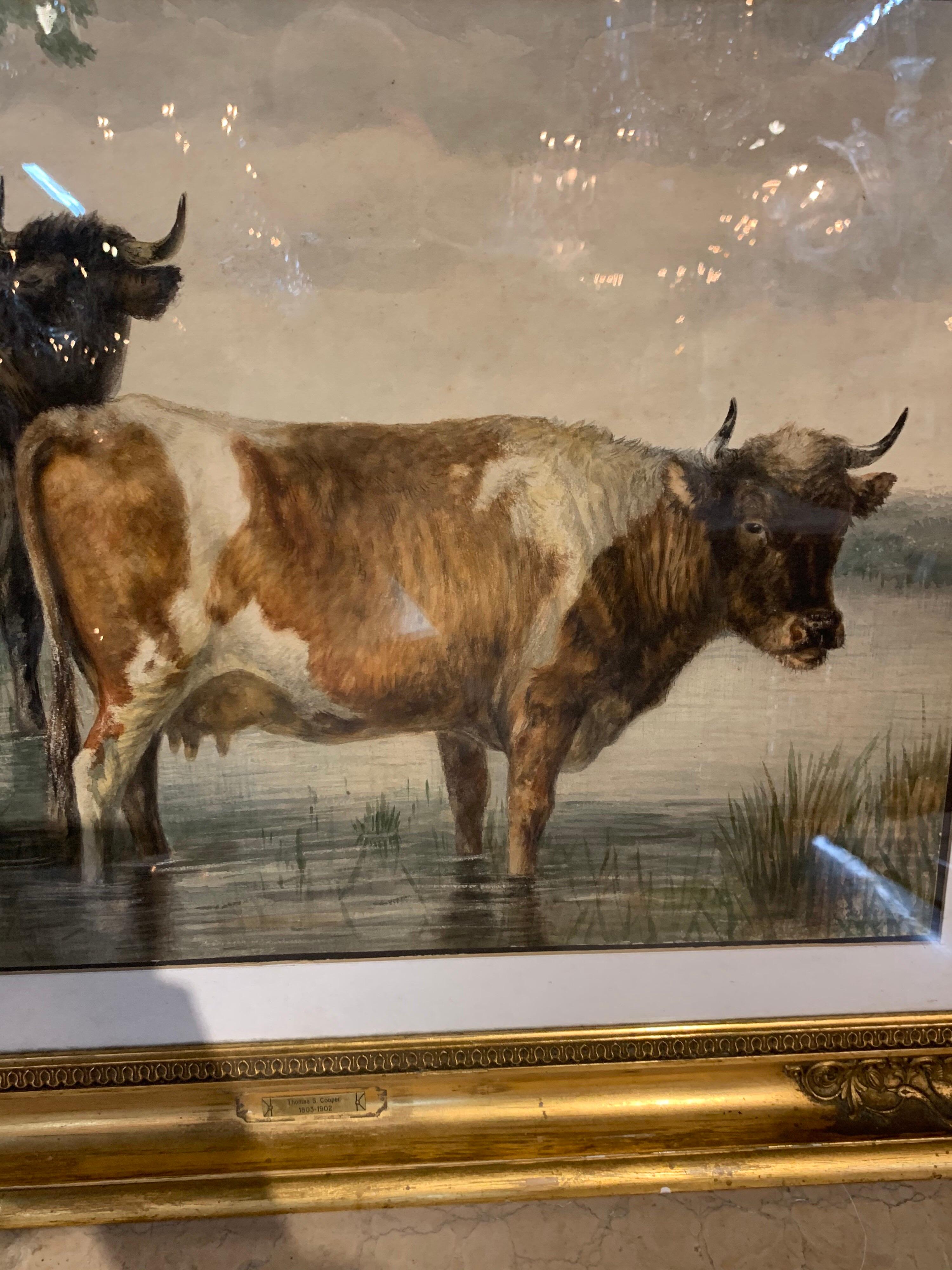Painted 19th Century English Watercolor of Cows By Thomas S. Cooper