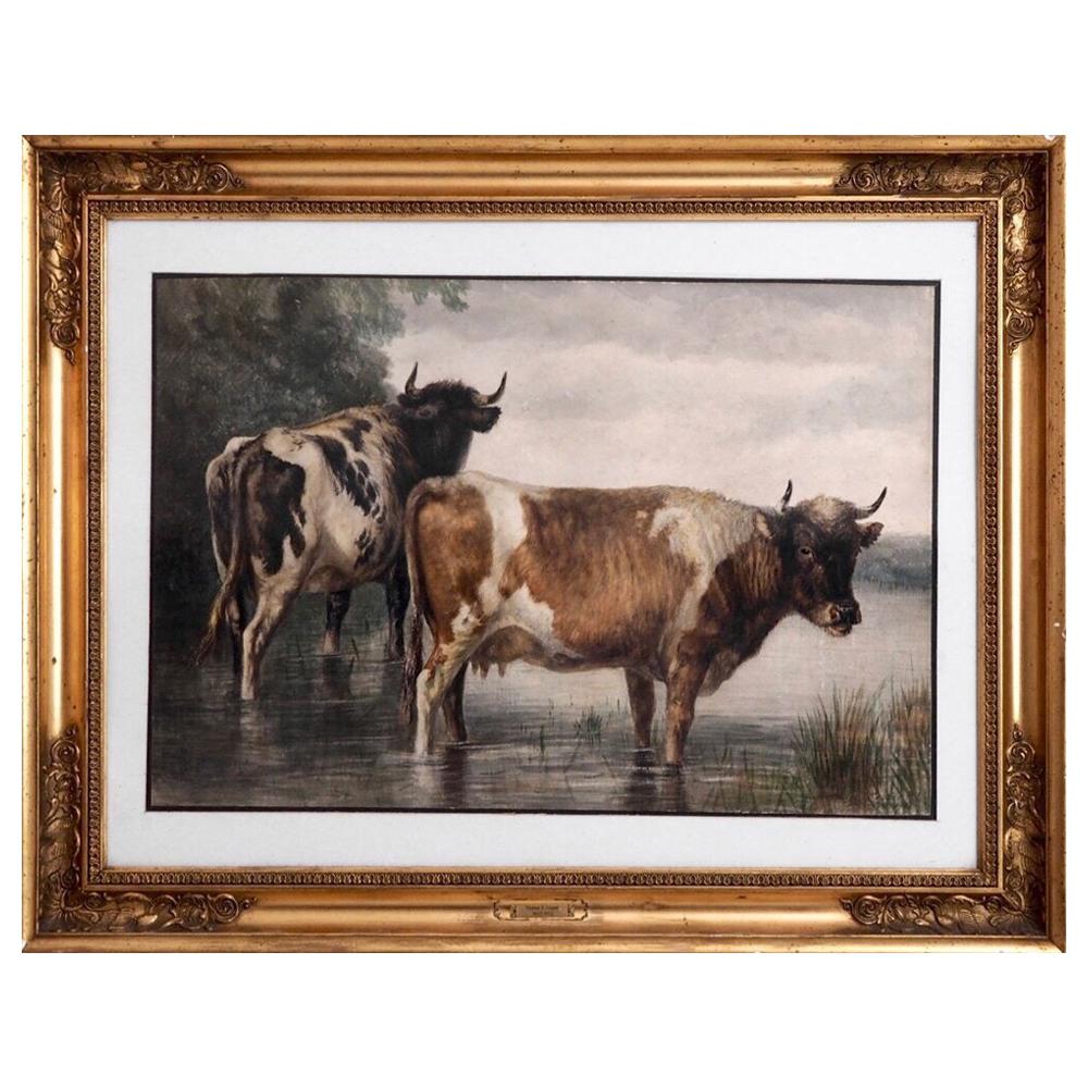 Aquarelle anglaise du 19ème siècle représentant des vaches par Thomas S. Cooper