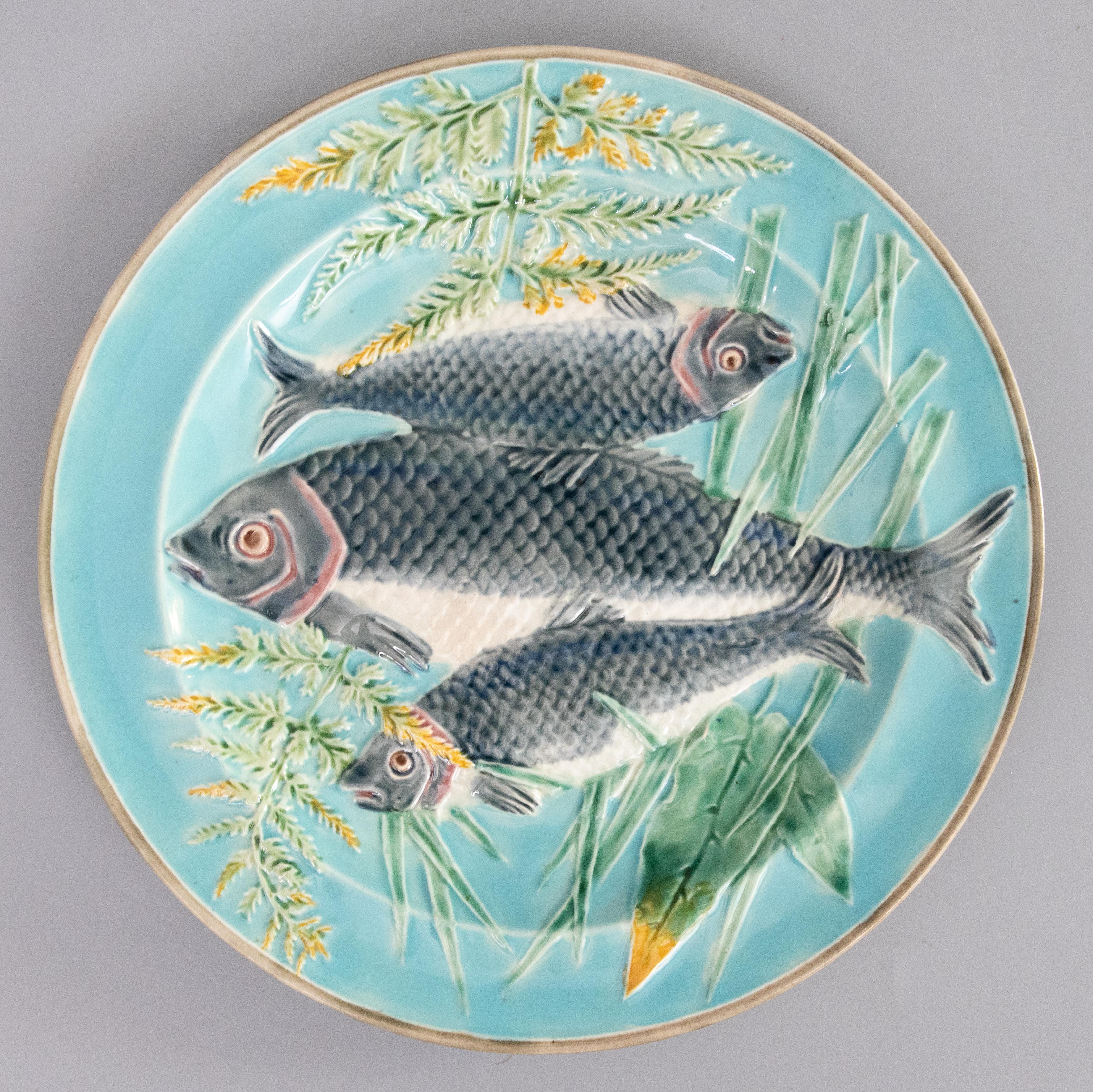Rare assiette anglaise ancienne de Wedgwood en majolique avec poisson et algues, vers 1880. Marque de fabrique 