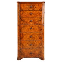 19th Century English Wellington Chest, Chiffoniere, Walnut, circa 1860