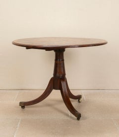 19th Century English William IV Specimen Wood Centre Table