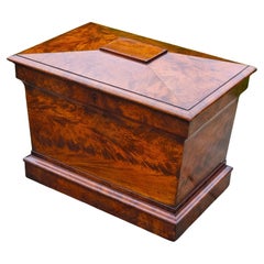 Antique 19th century English wine cooler, Regency, sarcophagus shape, flame mahogany
