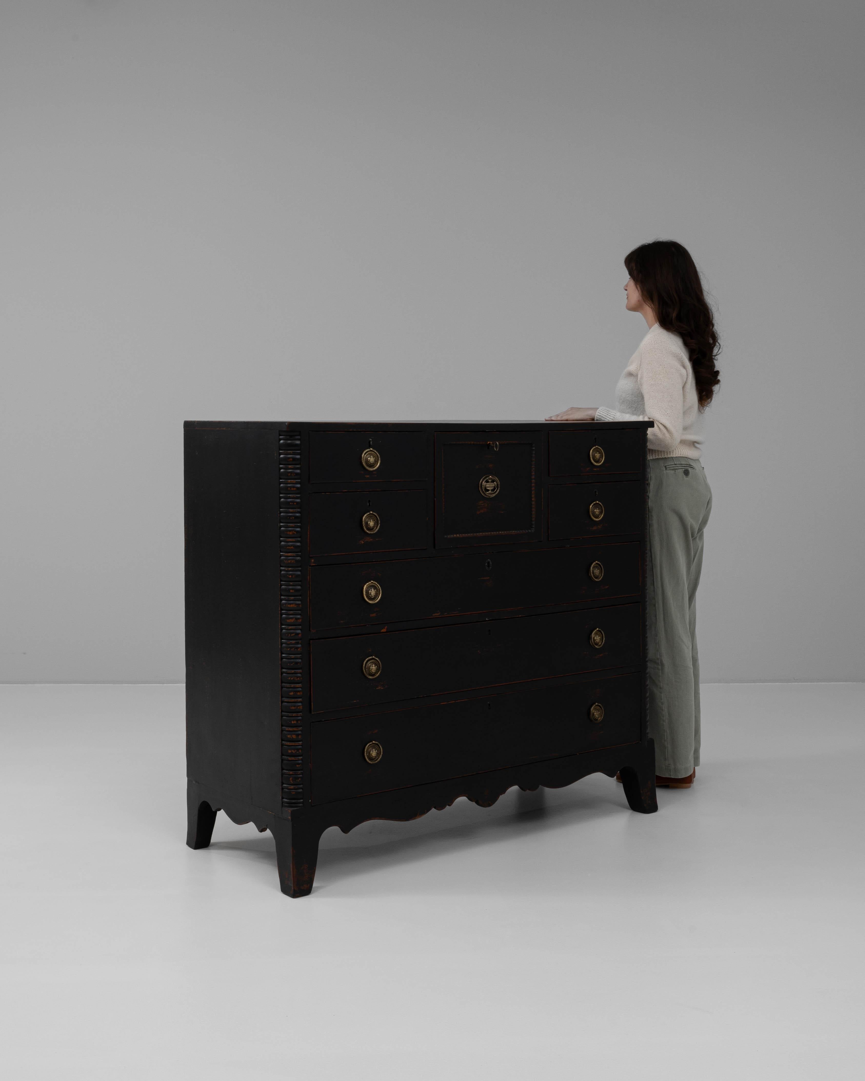 19th Century English Wood Black Patinated Chest Of Drawers 2