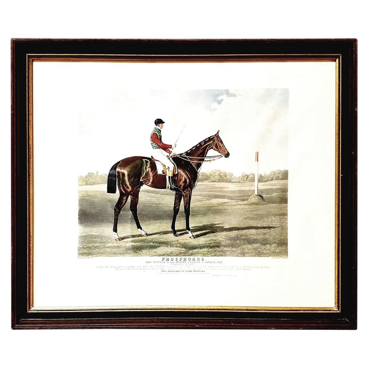 19th Century Engraving of Phosphorus by Jf Herring Snr