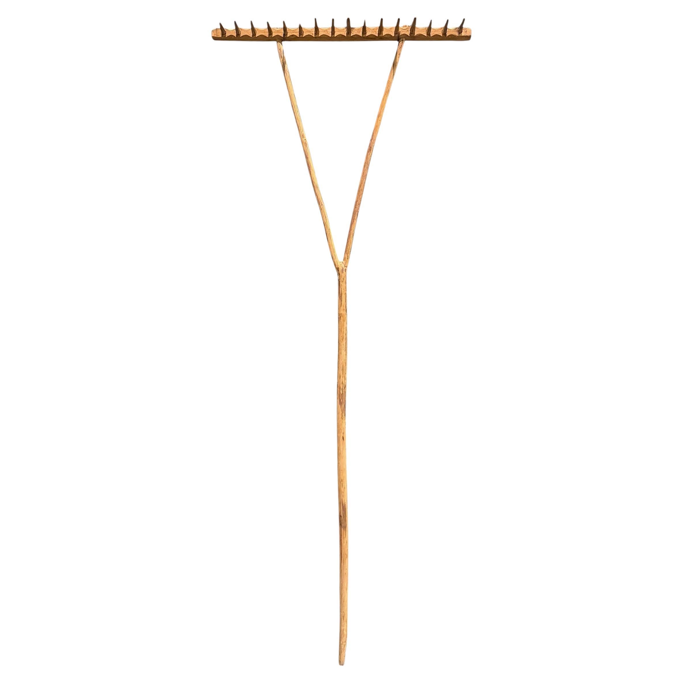 19th Century Espalier Rake on Custom Wall Mount For Sale