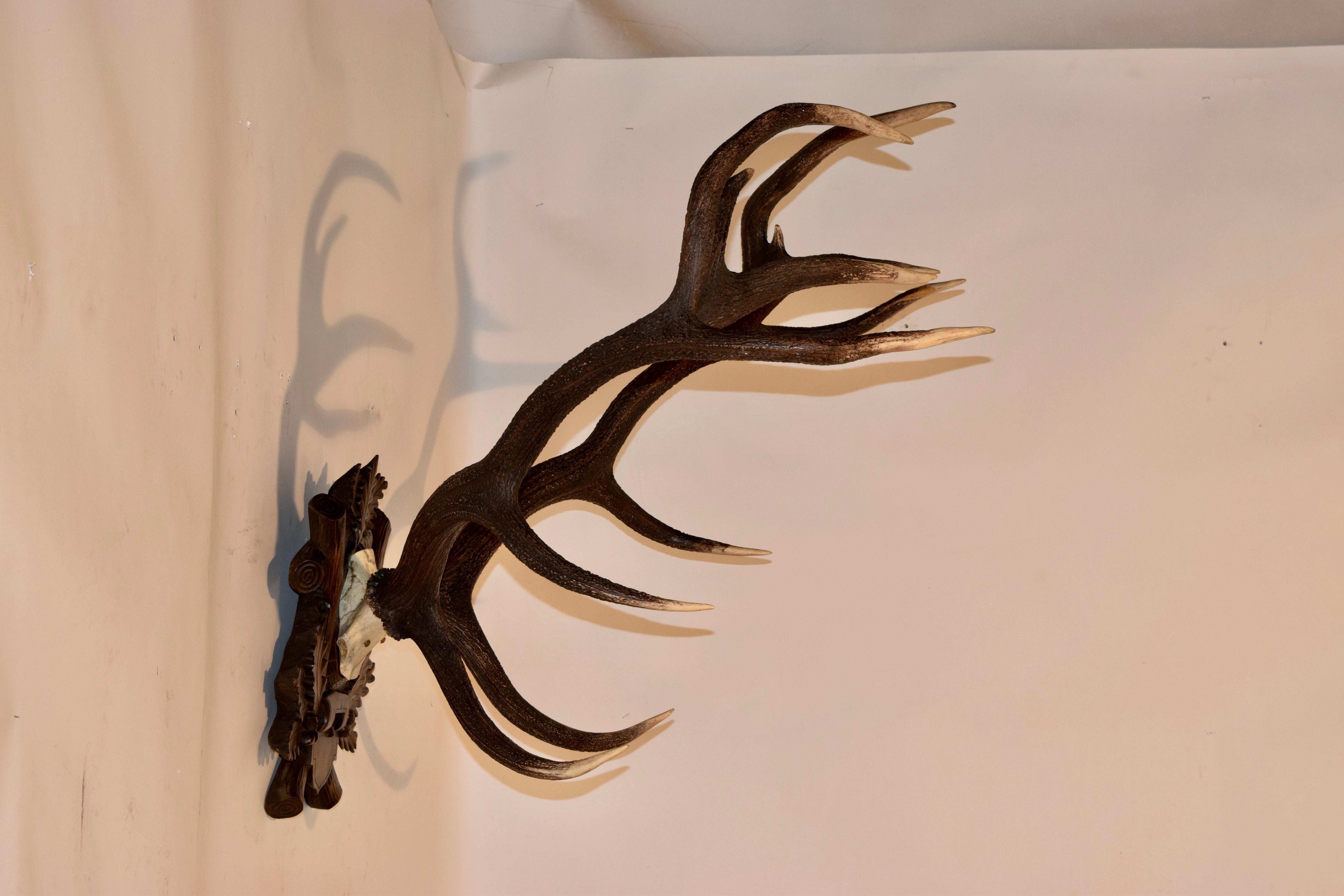 Black Forest 19th Century European Antlers on Plaque