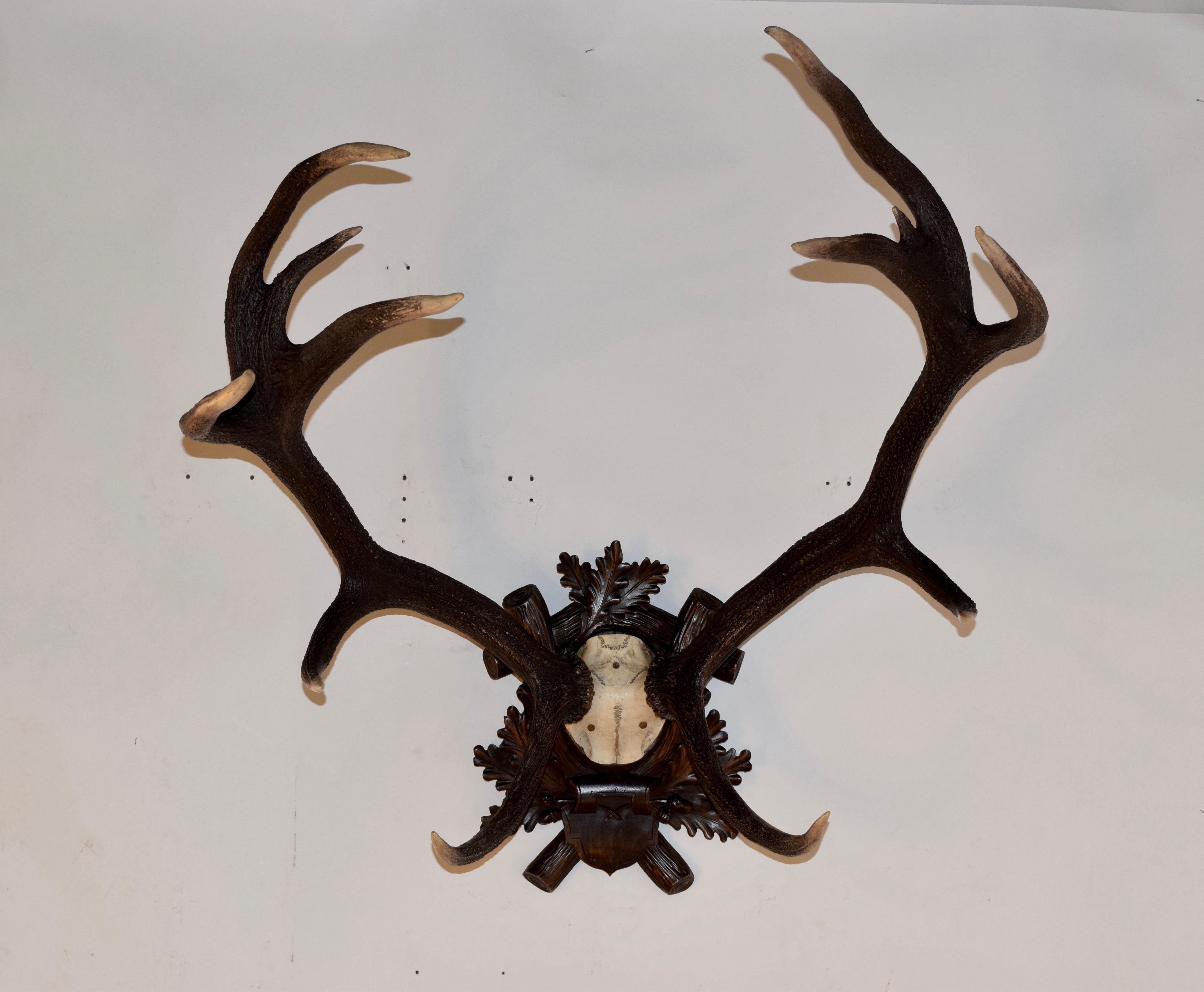 19th Century European Antlers on Plaque In Good Condition In High Point, NC