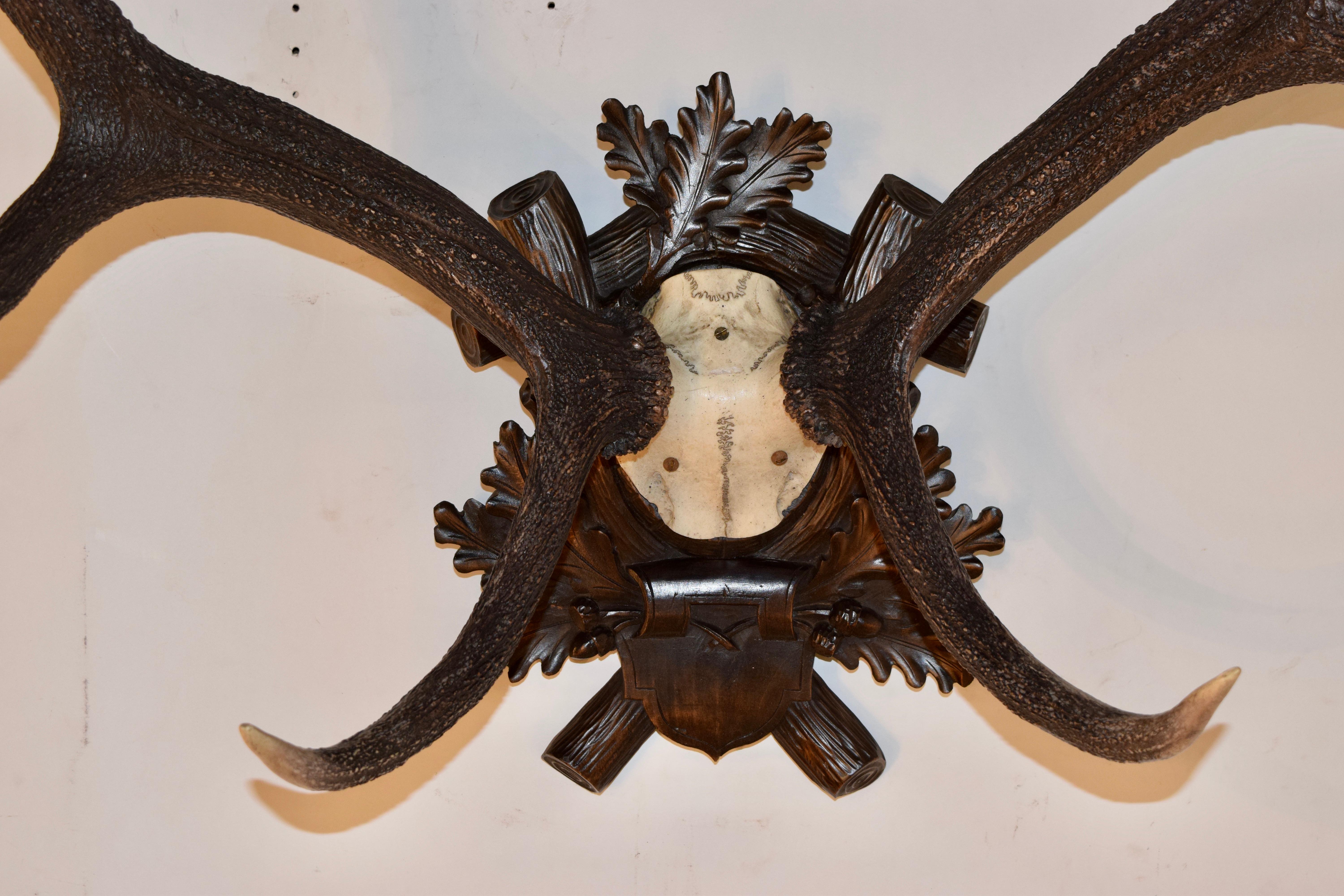 19th Century European Antlers on Plaque 1