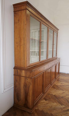 19th Century European Cupboard China Cabinet