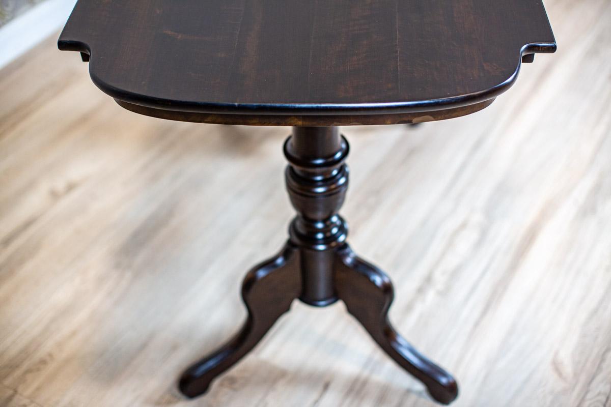 German 19th Century European Eclectic Walnut Living Room Table in Black For Sale
