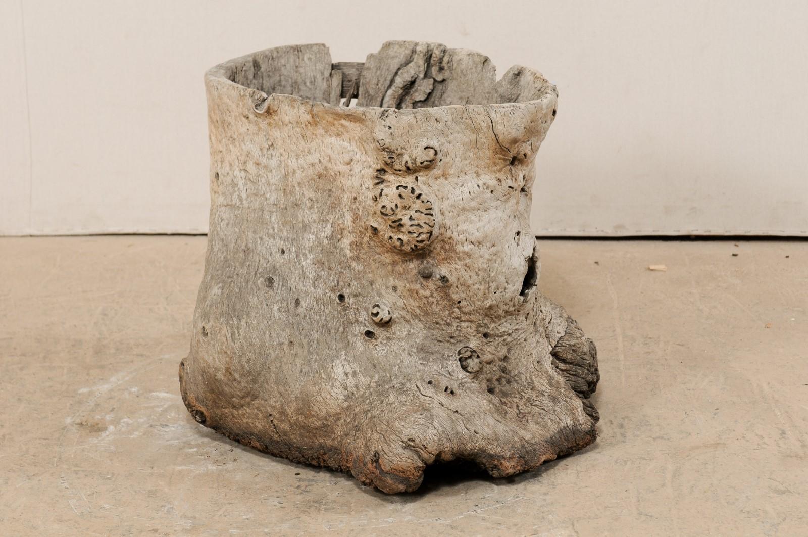 A nicely-sized European hollowed tree stump vessel from the 19th century. This antique tree stump from Europe, with hollowed center, has a marvelous organic form with knobby areas. There is a nice old repair which can be seen along a cracked seam