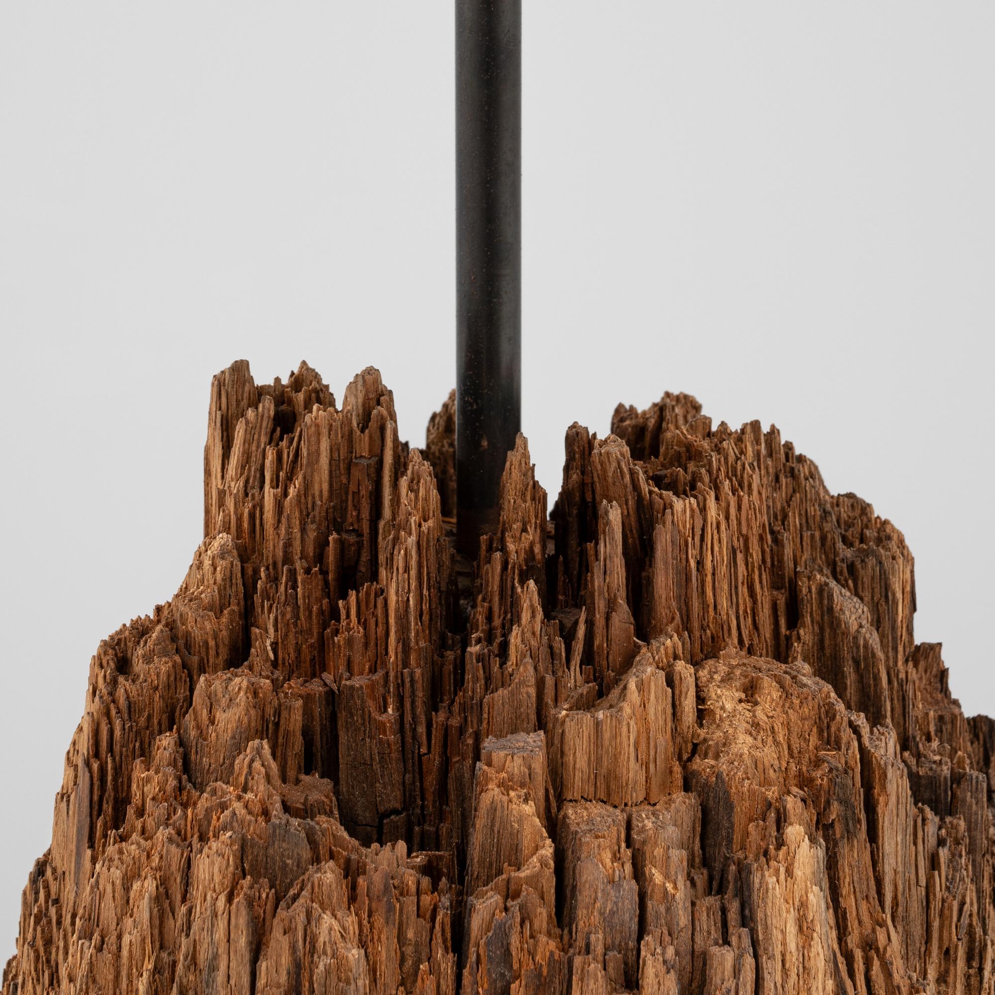 Lampada da tavolo in legno europea del XIX secolo in vendita 4