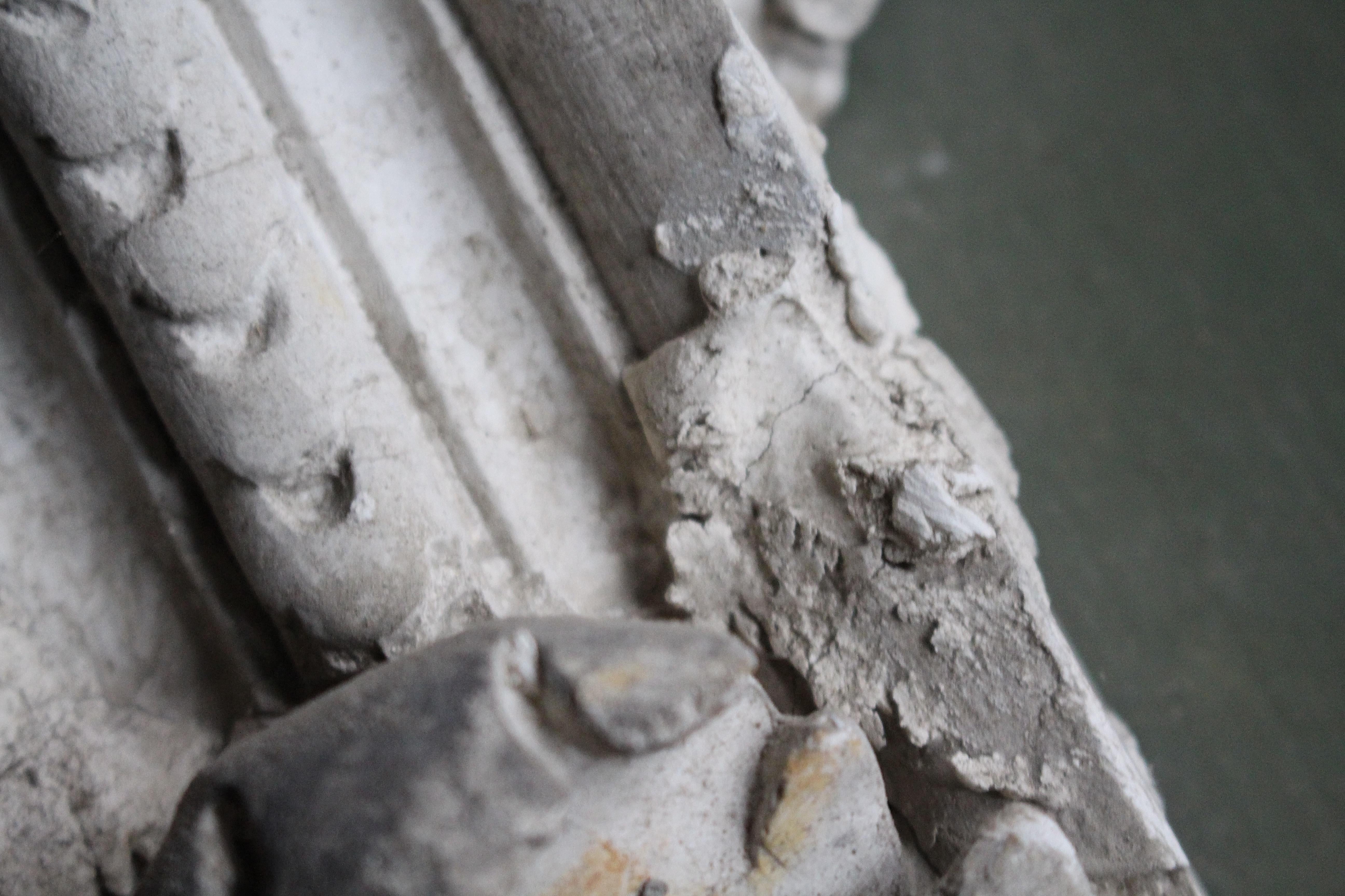 19th Century Ex Museum Plaster Corbel Foundry Sample Classical Maiden 7