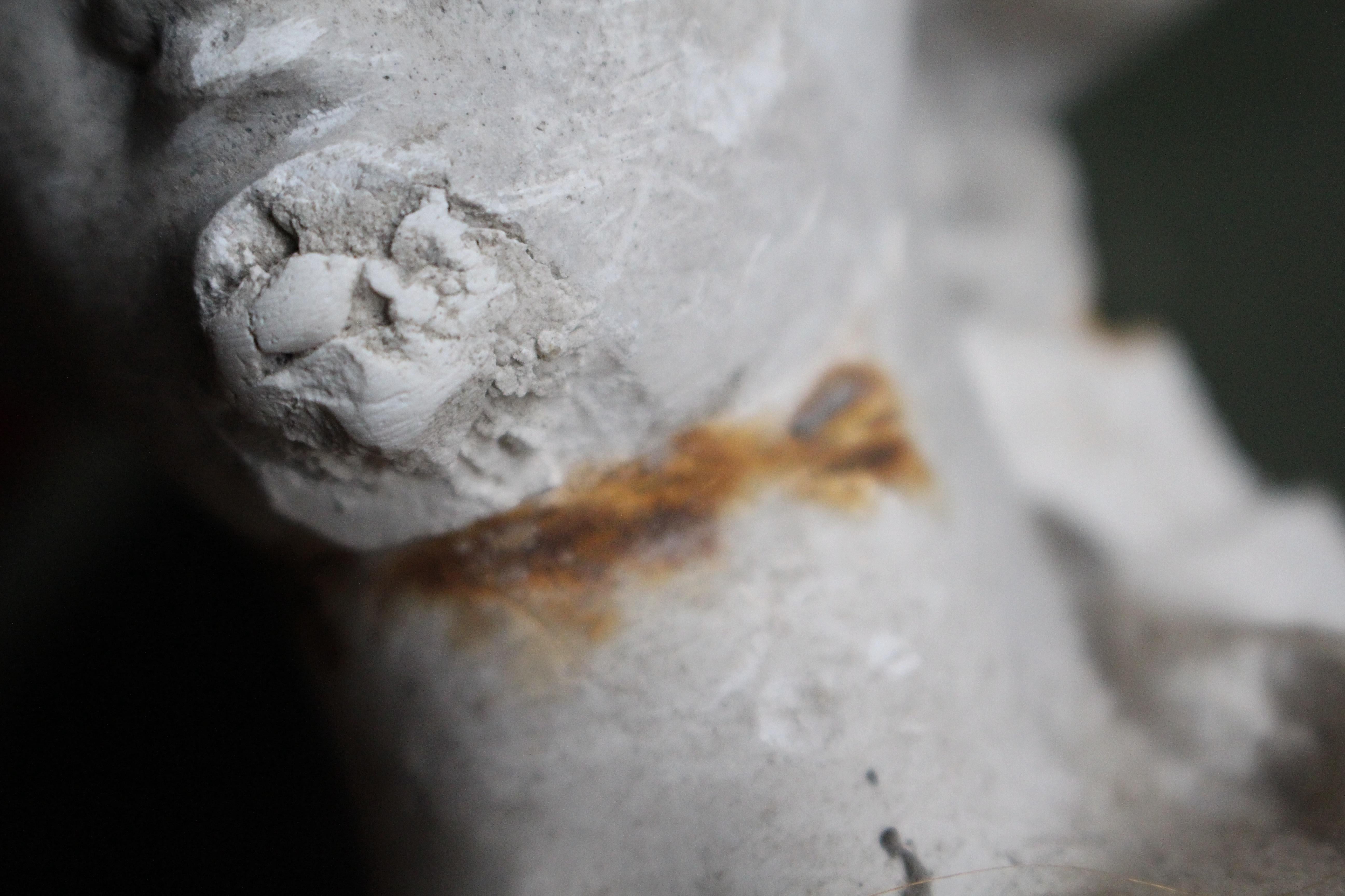19th Century Ex Museum Plaster Corbel Foundry Sample Classical Maiden 5