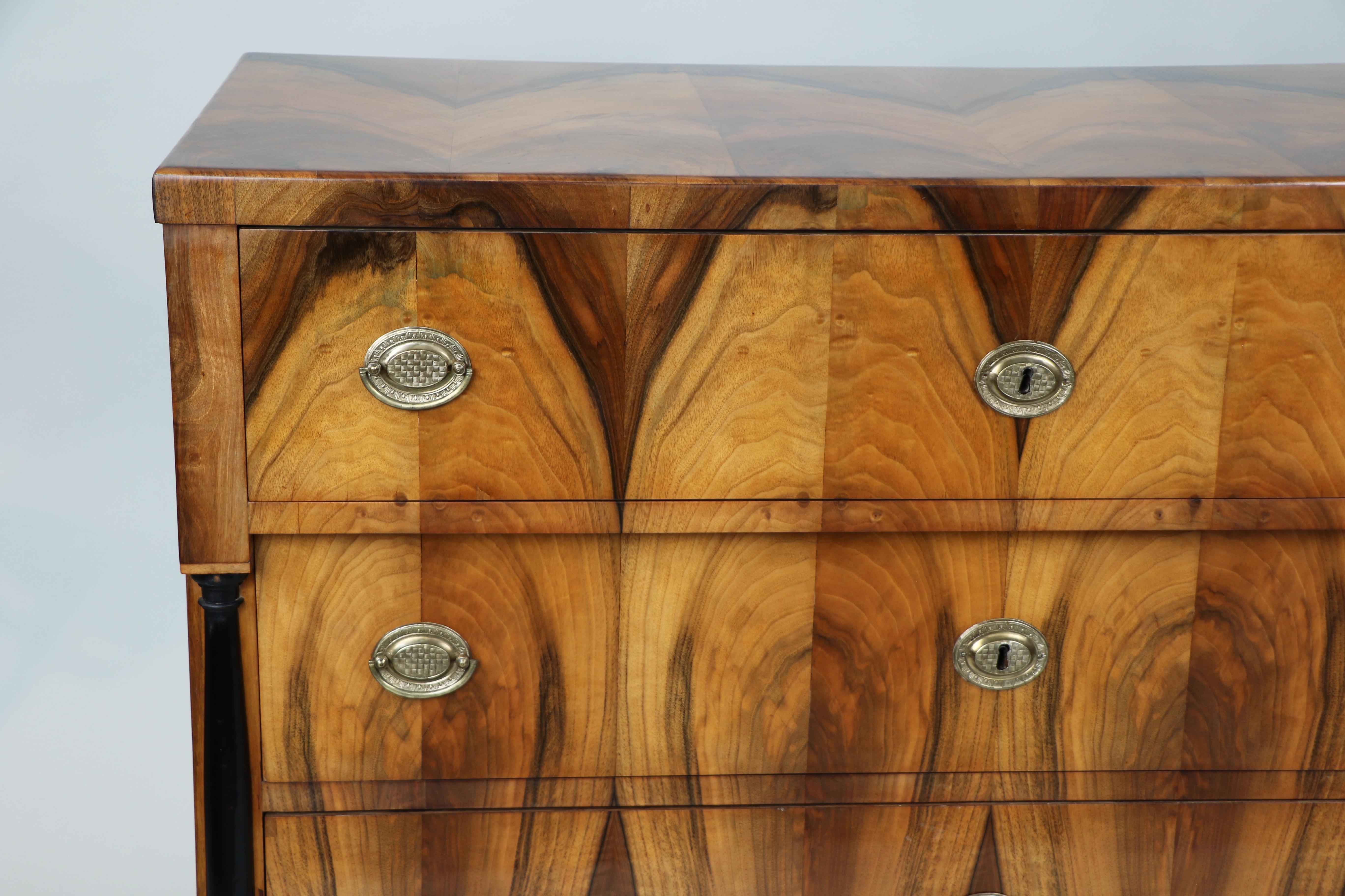 19th Century Exceptional Biedermeier Pair of Chests of Drawers. Vienna c. 1825 For Sale 6