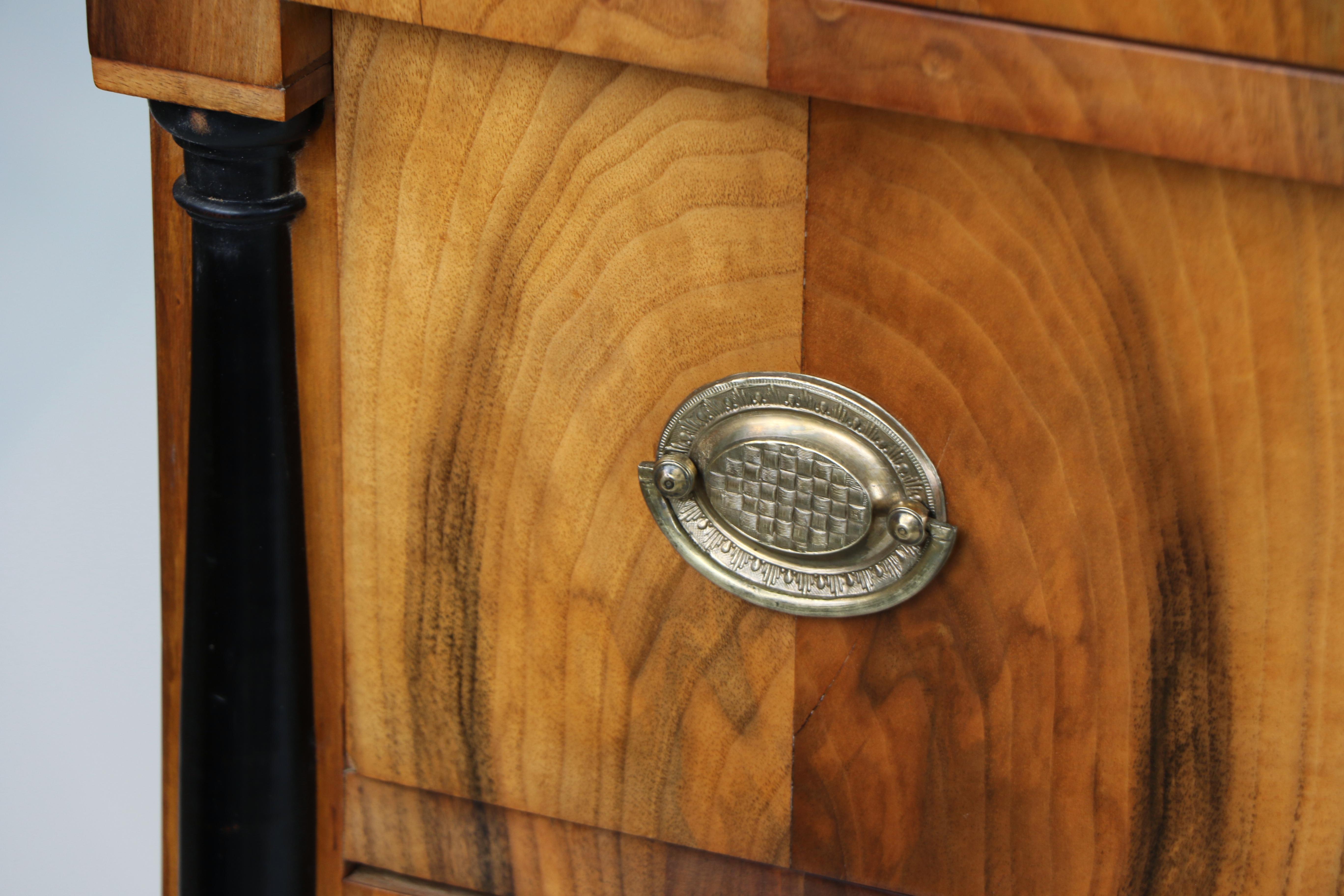19th Century Exceptional Biedermeier Pair of Chests of Drawers. Vienna c. 1825 For Sale 8