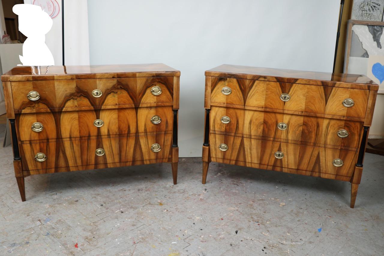 19th Century Exceptional Biedermeier Pair of Chests of Drawers. Vienna c. 1825 For Sale 10