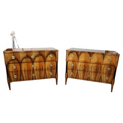 19th Century Exceptional Biedermeier Pair of Chests of Drawers. Vienna c. 1825