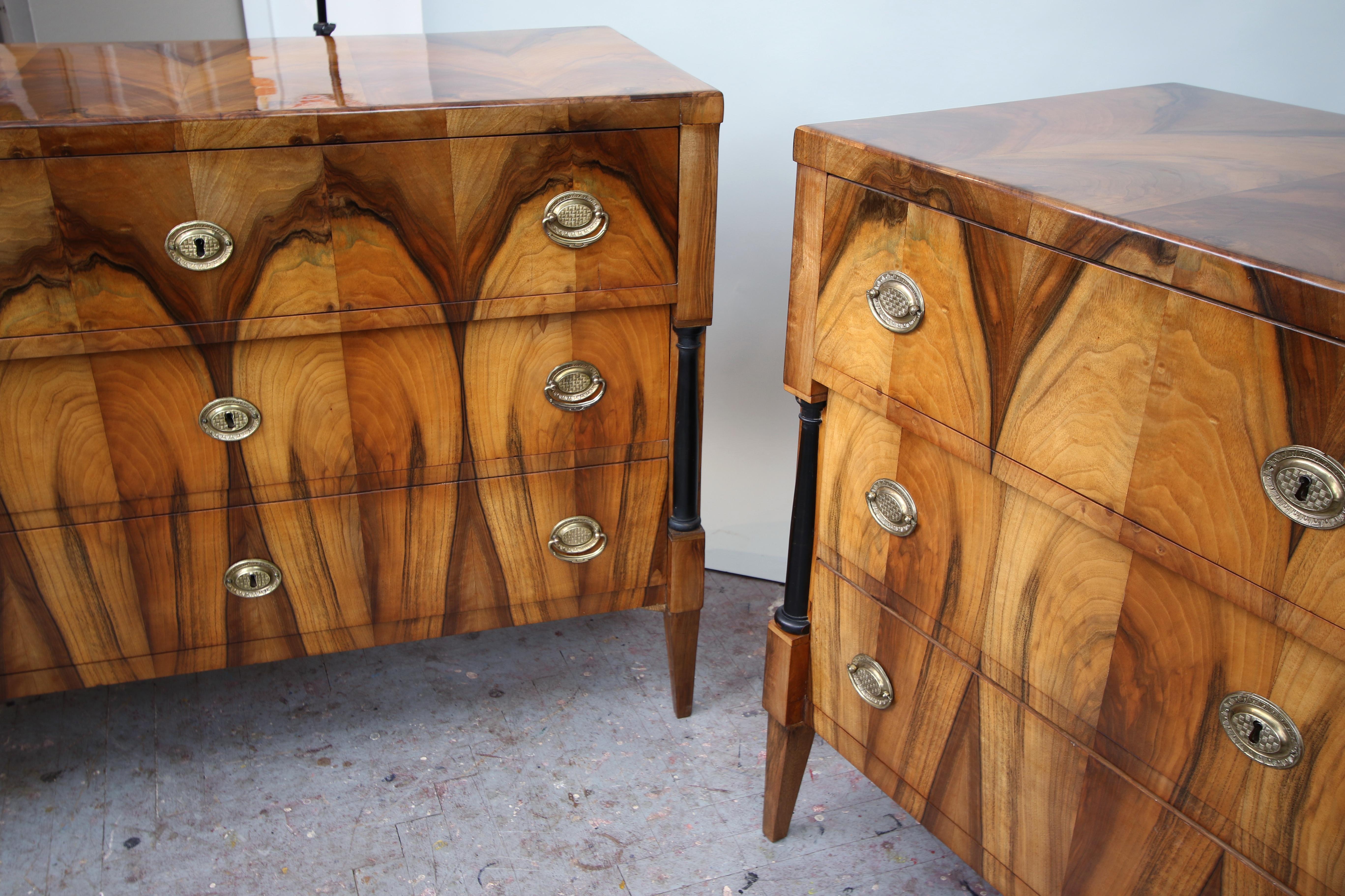 Ebonized 19th Century Exceptional Biedermeier Pair of Chests of Drawers. Vienna c. 1825 For Sale