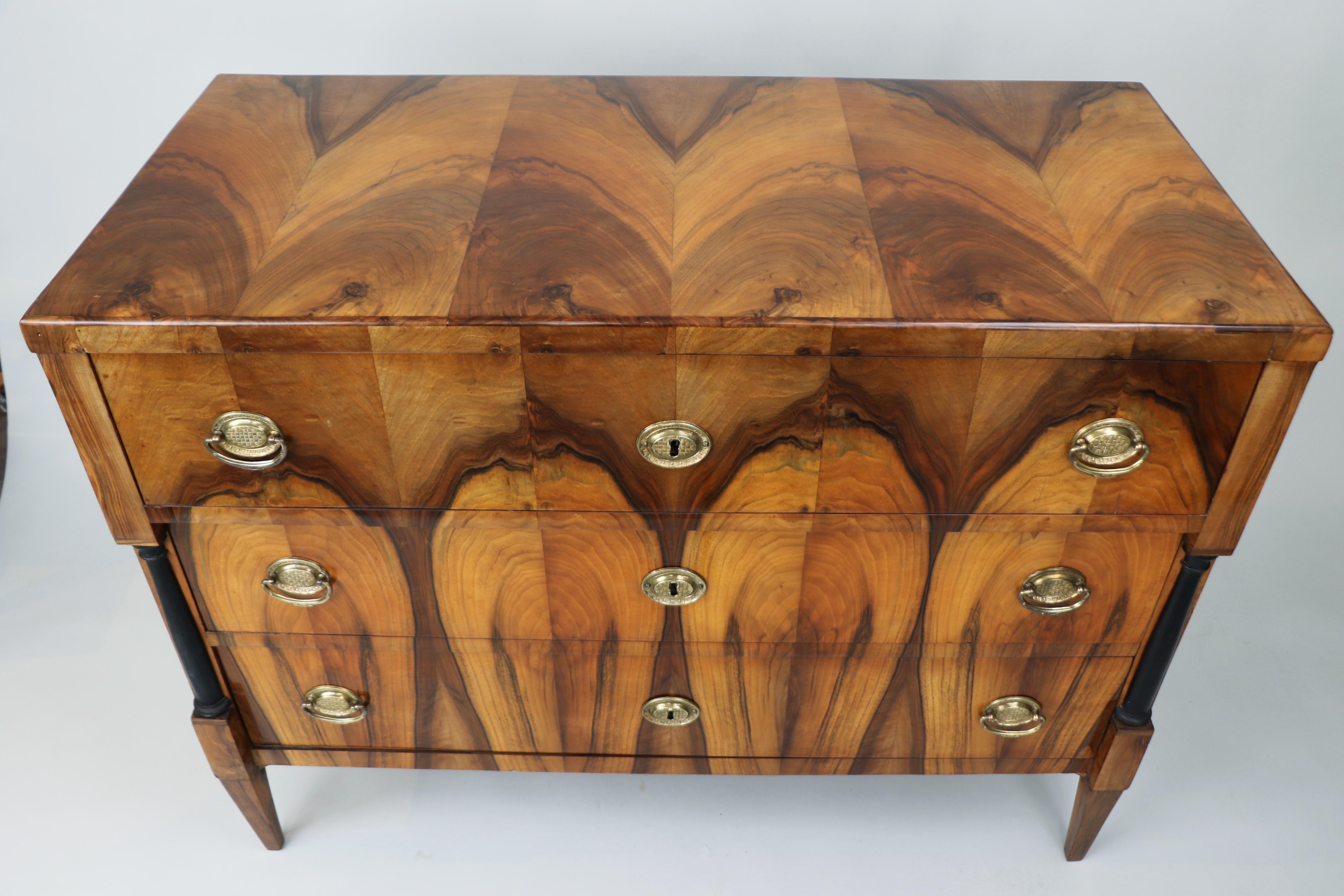 Brass 19th Century Exceptional Biedermeier Pair of Chests of Drawers. Vienna c. 1825 For Sale