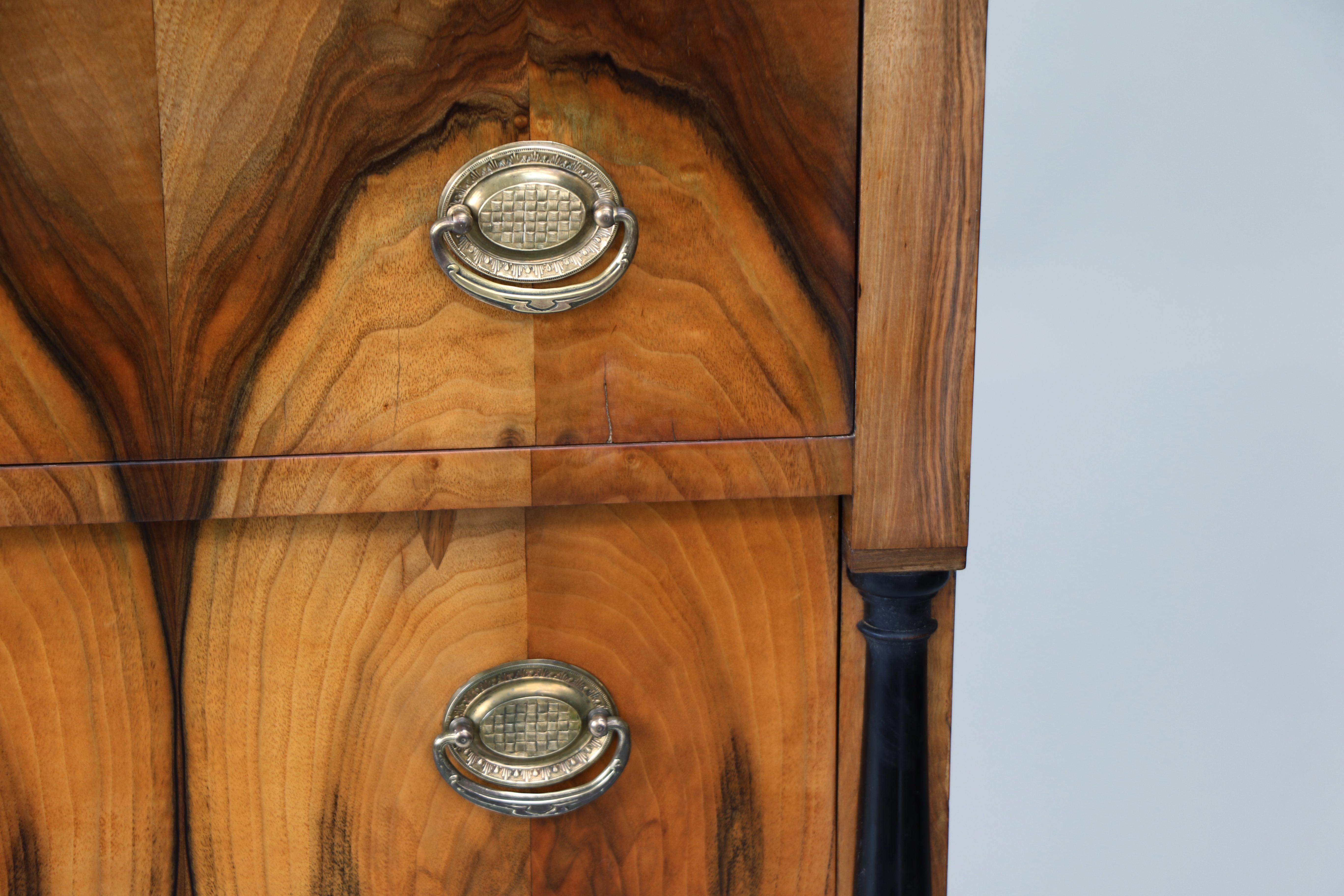 19th Century Exceptional Biedermeier Pair of Chests of Drawers. Vienna c. 1825 For Sale 1