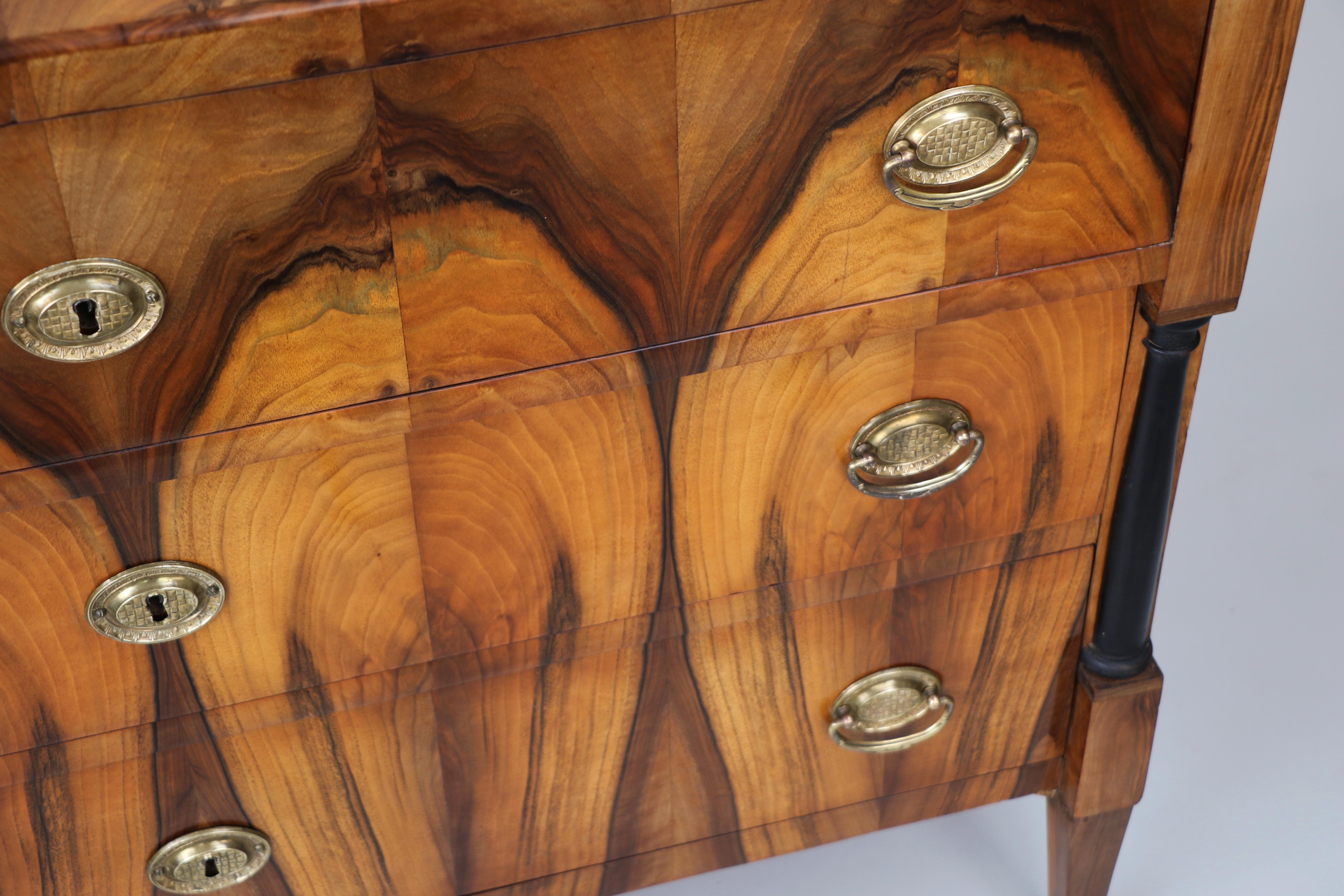 19th Century Exceptional Biedermeier Pair of Chests of Drawers. Vienna c. 1825 For Sale 2