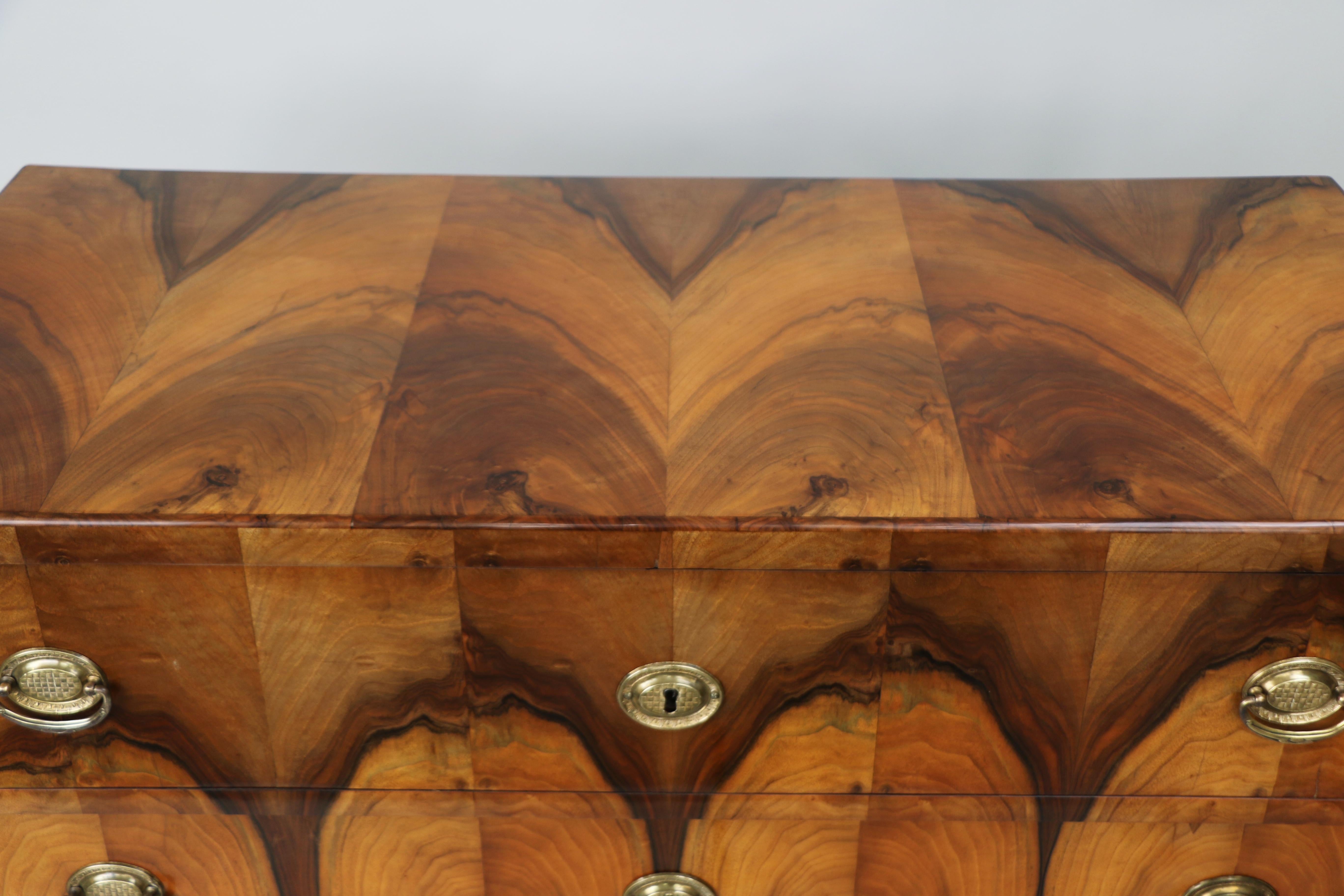 19th Century Exceptional Biedermeier Pair of Chests of Drawers. Vienna c. 1825 For Sale 4