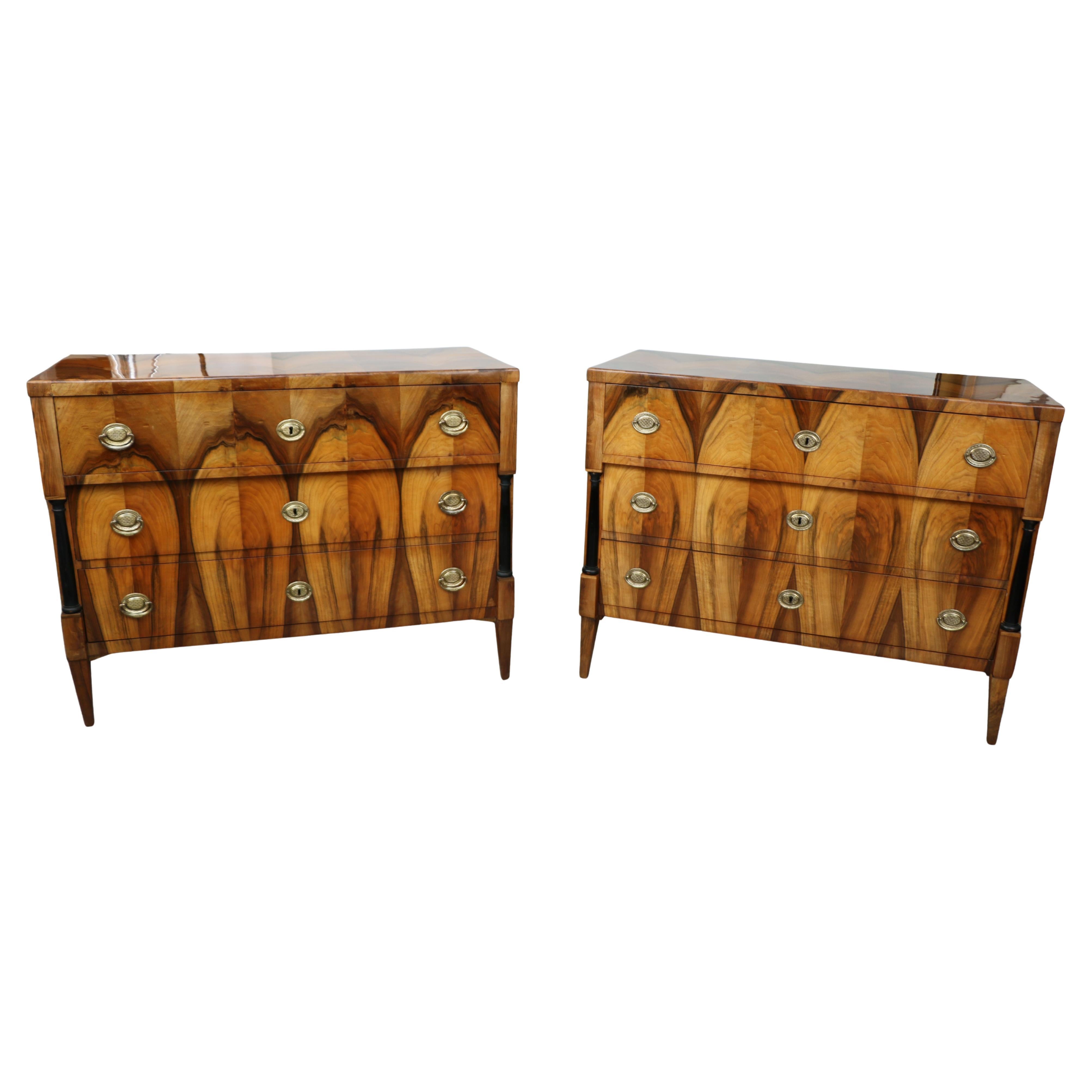 19th Century Exceptional Biedermeier Pair of Chests of Drawers. Vienna c. 1825 For Sale