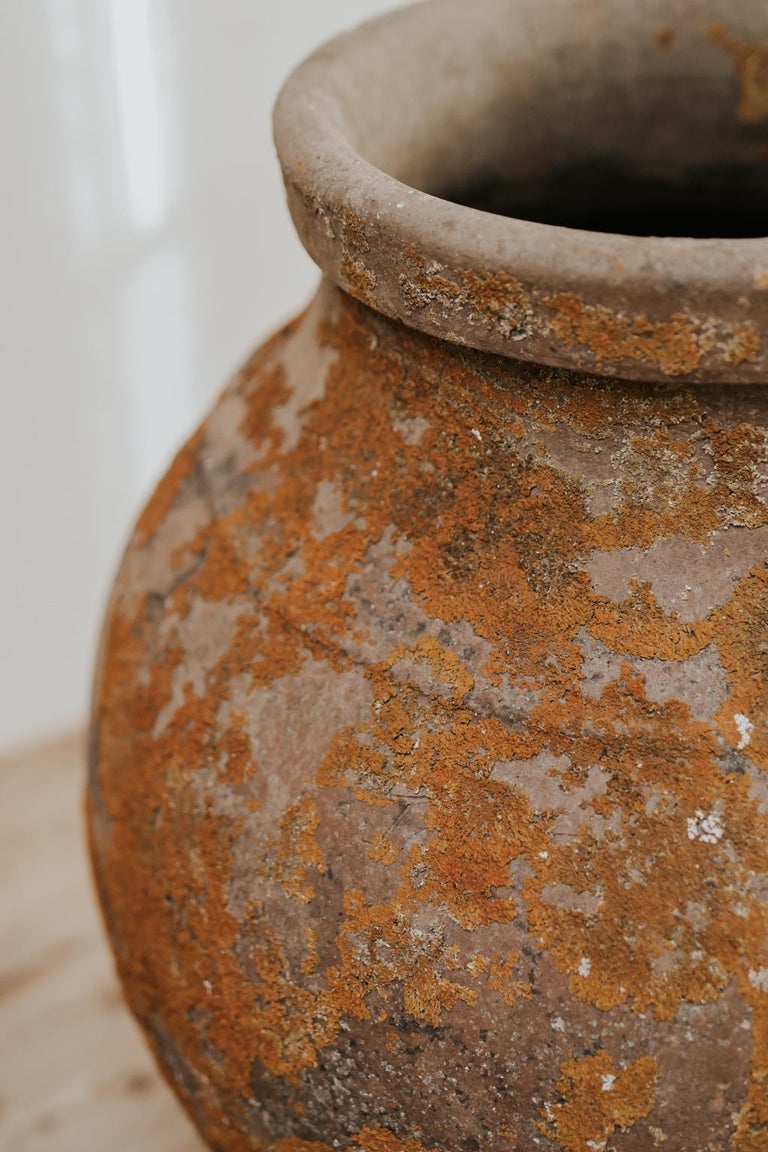 19th Century Extra Large Spanish Terracotta Wine Barrel at 1stDibs