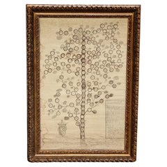 19th Century Family Tree