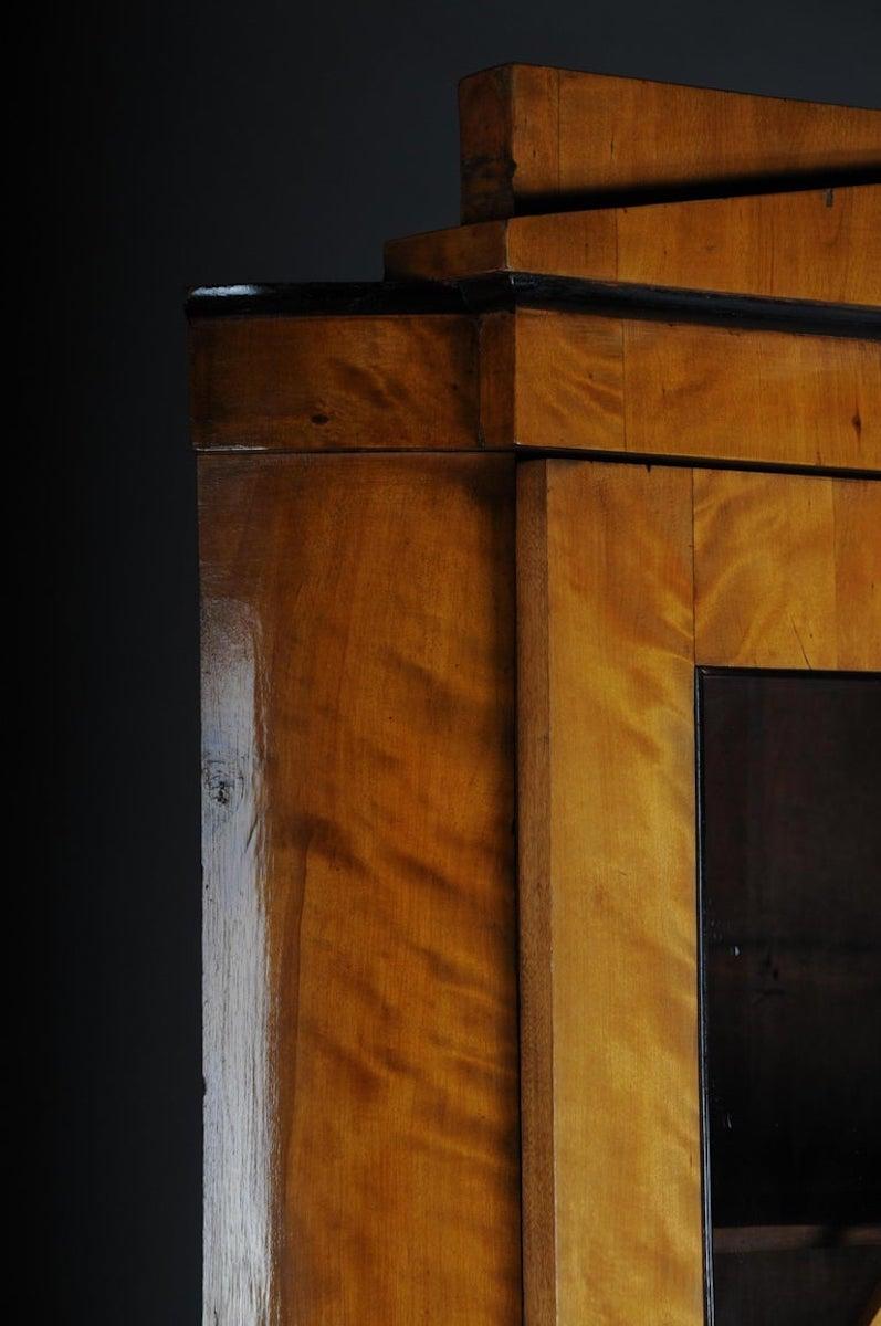 Fancy Biedermeier-Eckschrank aus dem 19. Jahrhundert, Vitrine, Birke 7