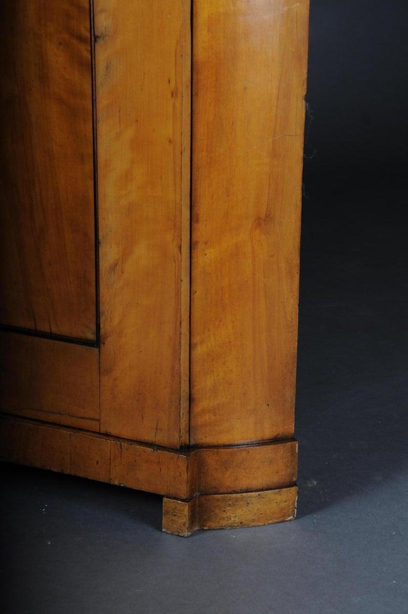 Fancy Biedermeier-Eckschrank aus dem 19. Jahrhundert, Vitrine, Birke 8
