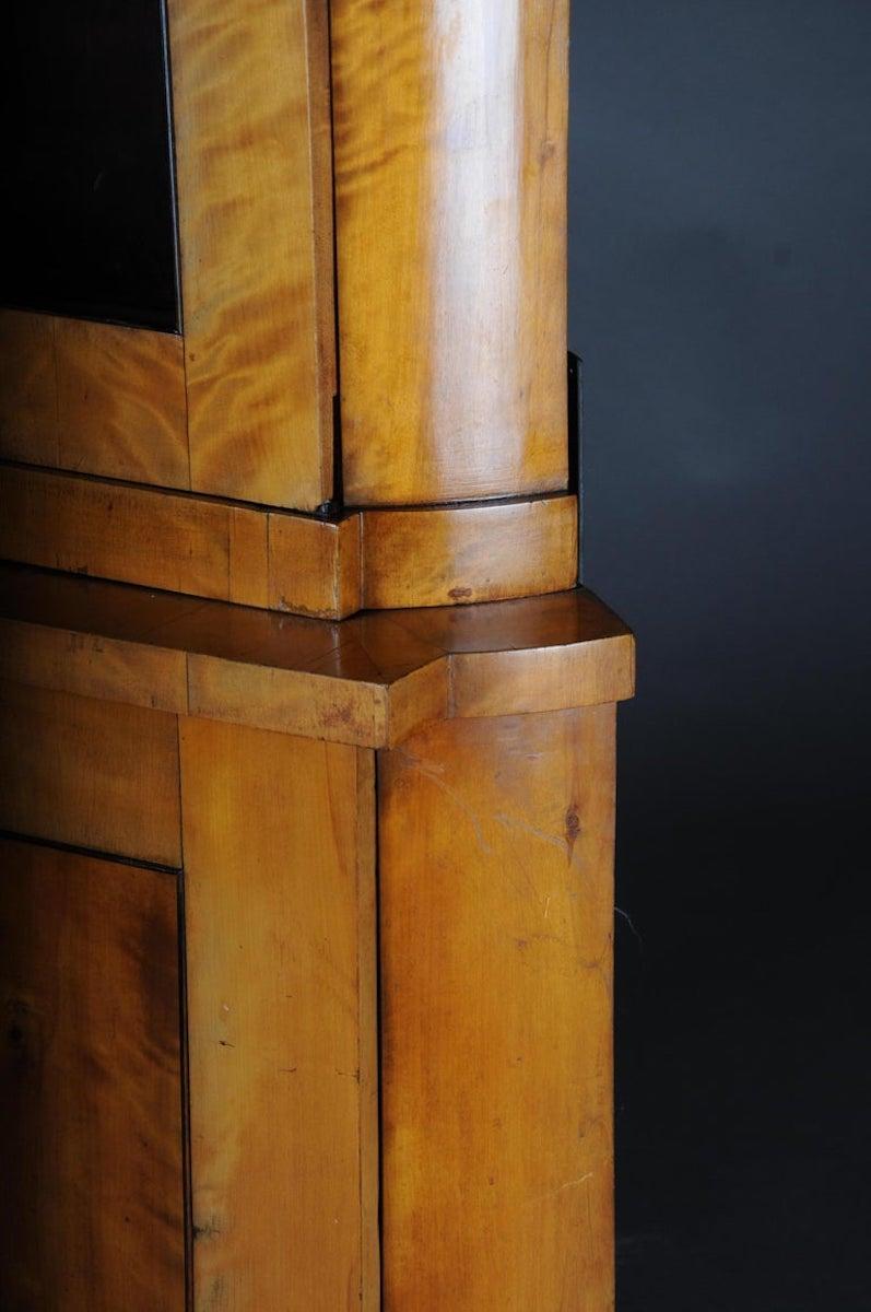 Fancy Biedermeier-Eckschrank aus dem 19. Jahrhundert, Vitrine, Birke 9