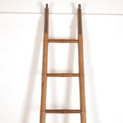 19th Century Faux Bamboo Library Ladder